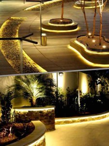 12V NEON ŞERİT LED 5 METRE NEON LED GÜNIŞIĞI