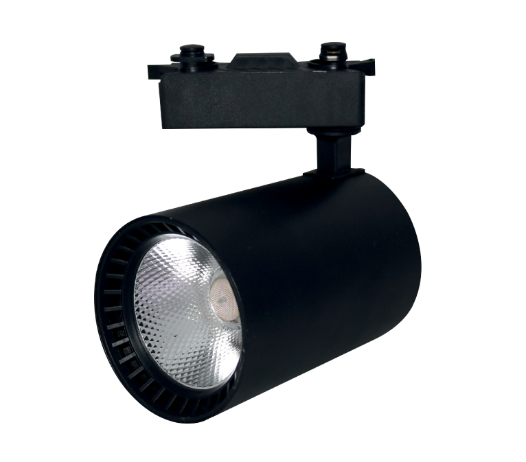 30 Watt Ray Spot Pluton (Siyah)