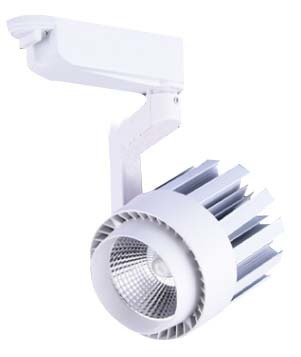 35 Watt Ray Spot Neptün (Beyaz)