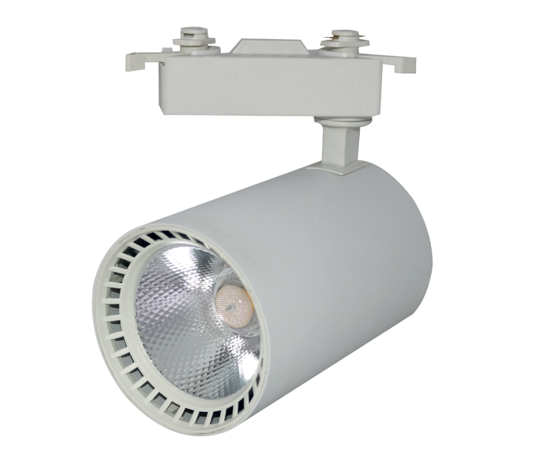 30 Watt Ray Spot Pluton (Beyaz)