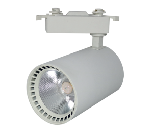 30 Watt Ray Spot Pluton (Beyaz)